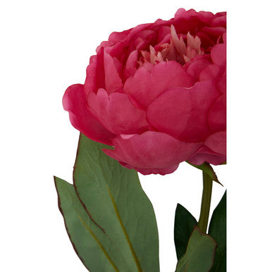 Artificial Fuchsia Peony Stem, 65cm