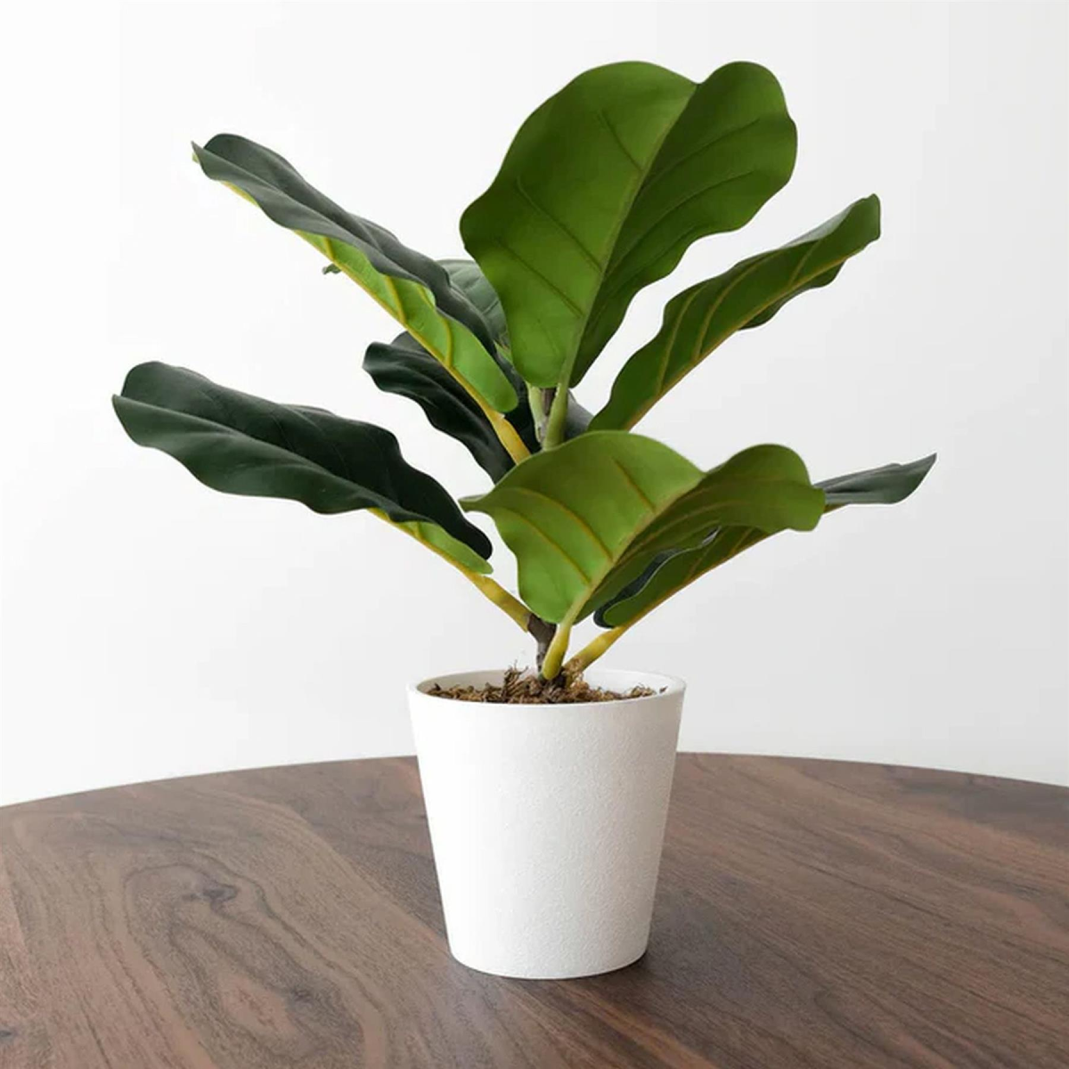 Artificial Potted Fiddle Fig, 38cm
