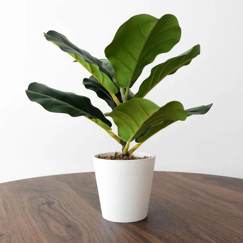 Artificial Potted Fiddle Fig, 38cm