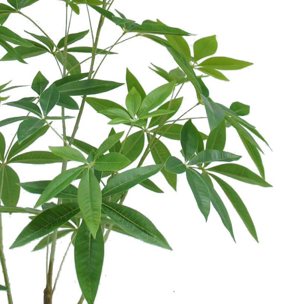 Artificial Money Plant Tree, 120cm