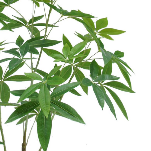 Artificial Money Plant Tree, 120cm