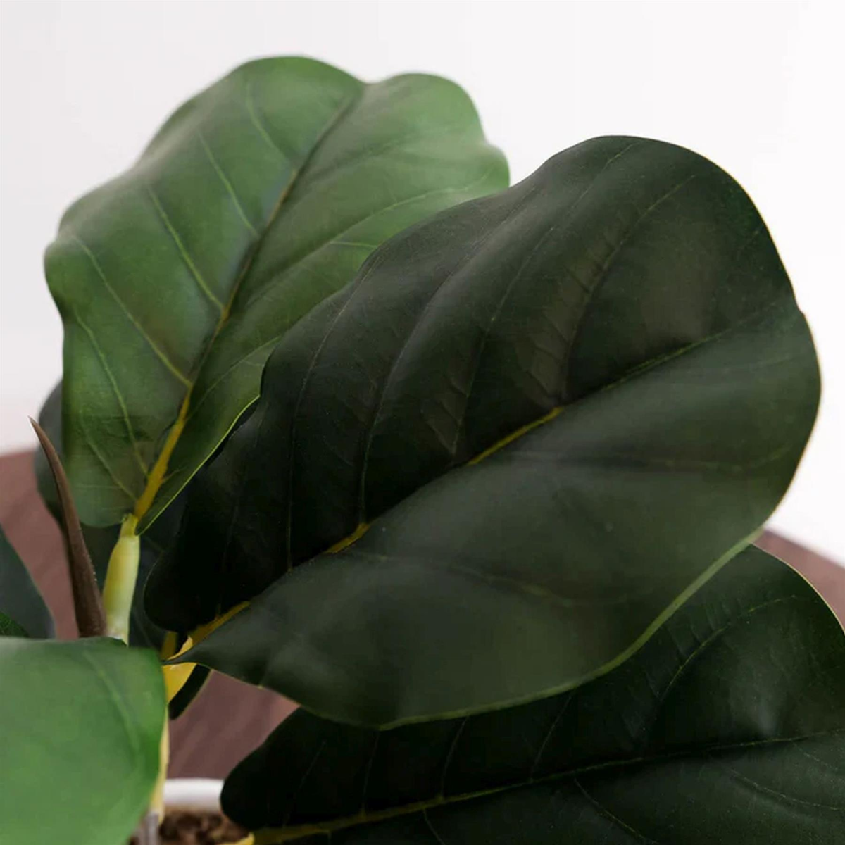 Artificial Potted Fiddle Fig, 38cm