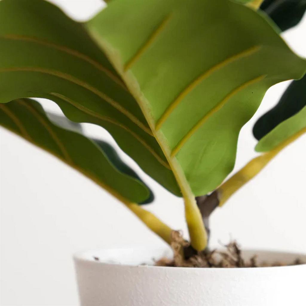 Artificial Potted Fiddle Fig, 38cm