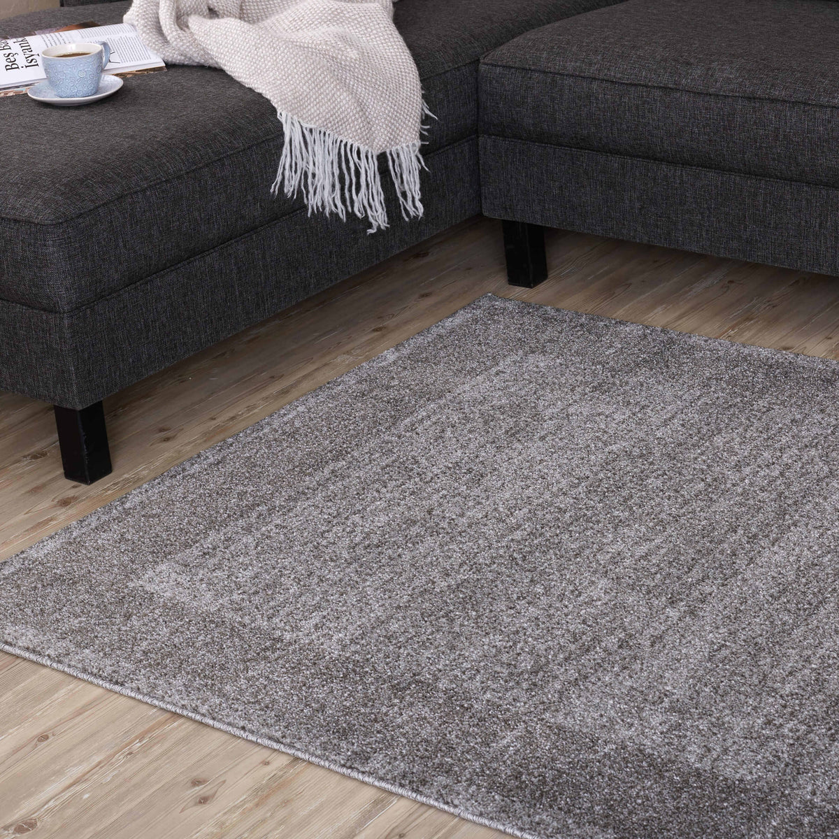 Ephesus Modern Grey Rug