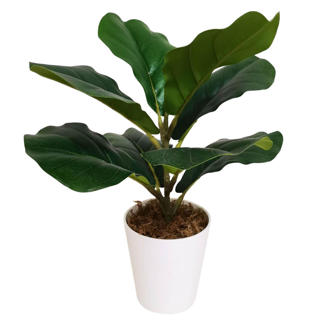 Artificial Potted Fiddle Fig, 38cm