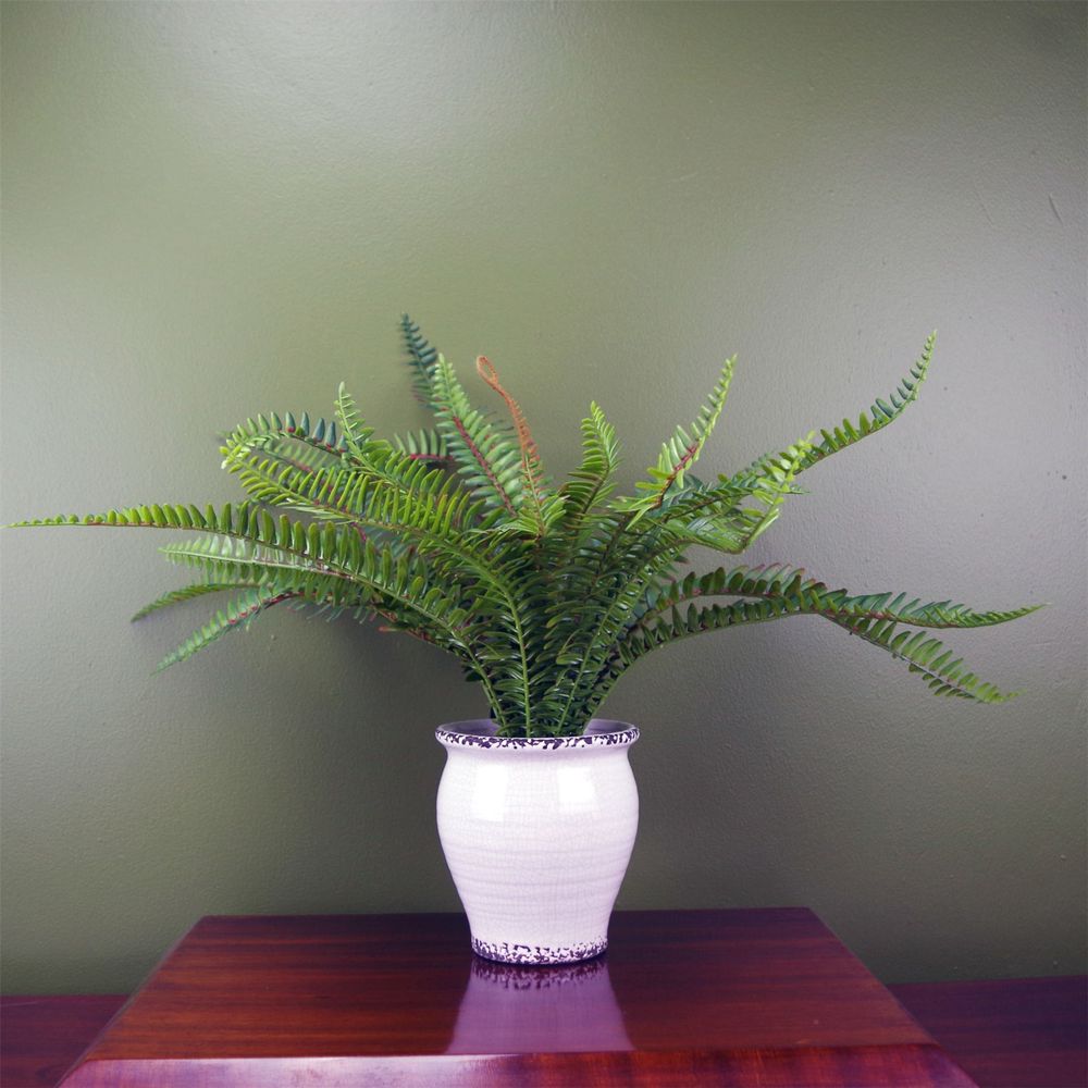 Artificial Bushy Fern in Ceramic Planter, 40cm