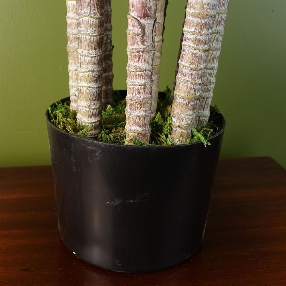 Artificial Jade Plant, 75cm