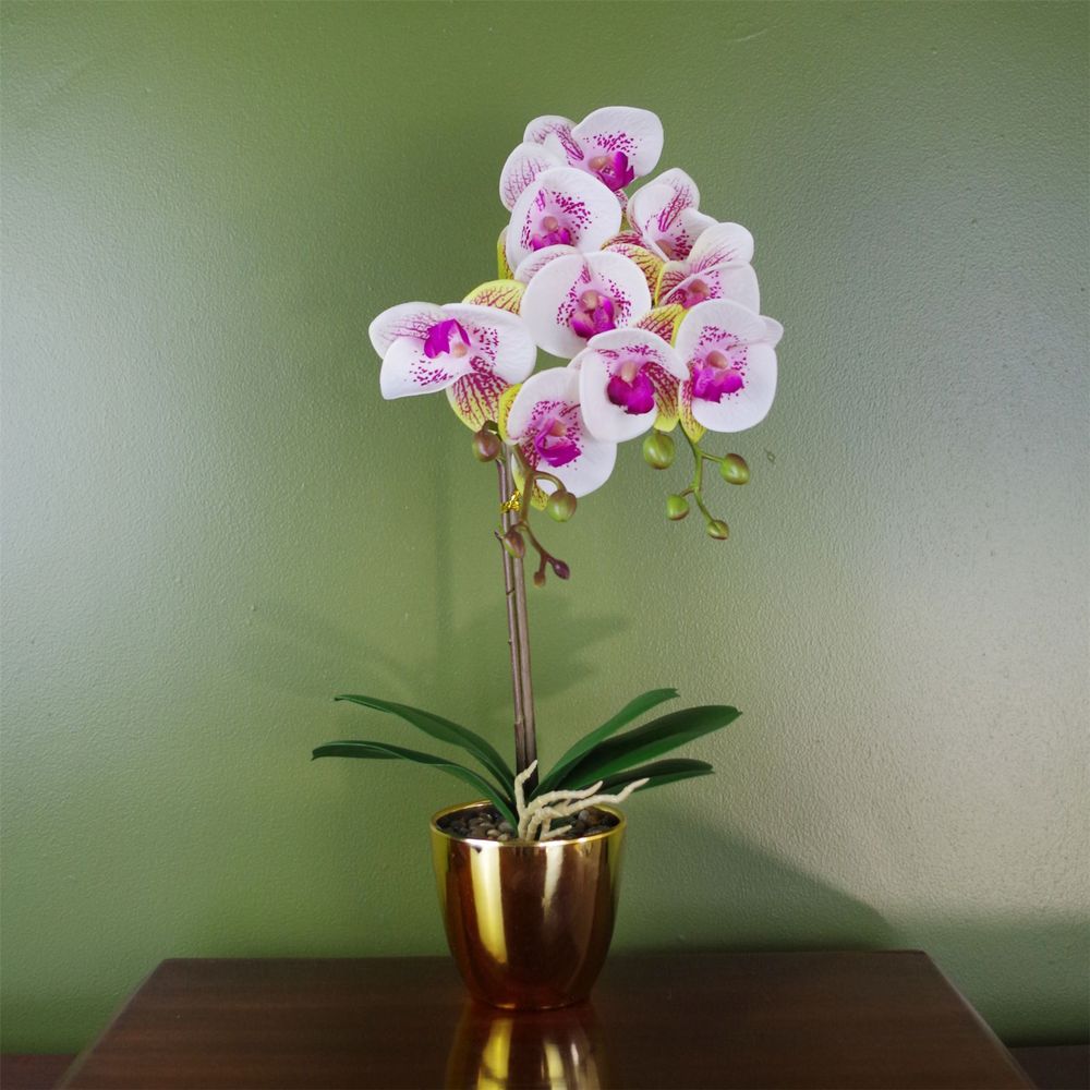 Artificial Harlequin Orchid, Pink and Gold Pot, 48cm