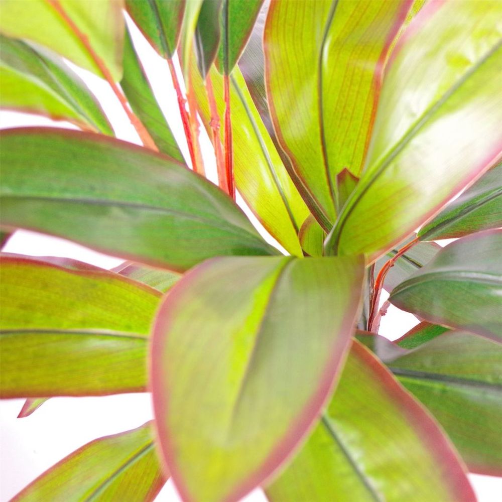 Artificial Dracaena with Gold Planter, 100cm