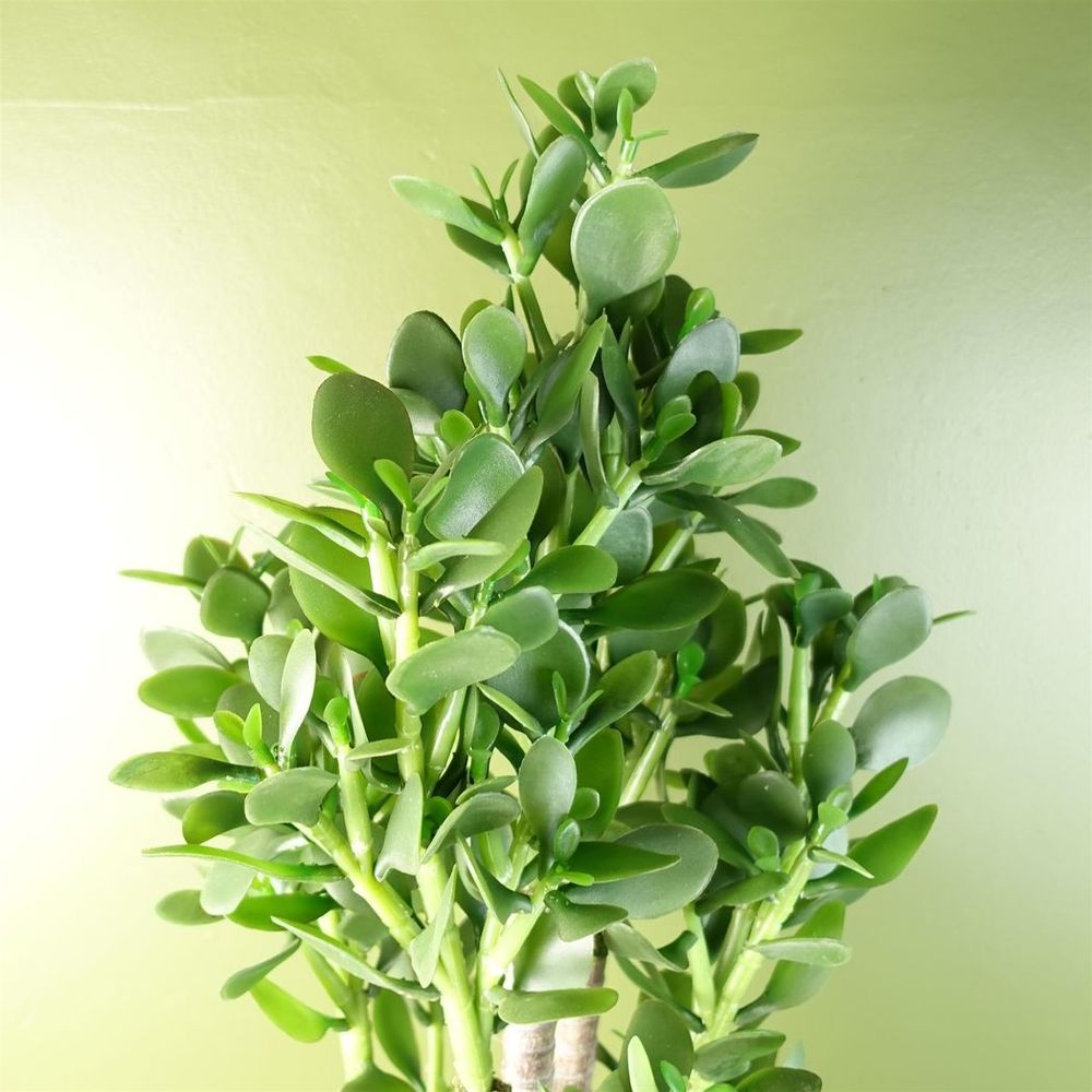Artificial Jade Plant, 75cm