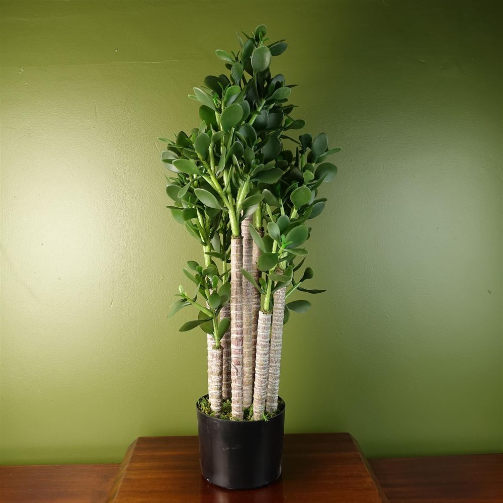 Artificial Jade Plant, 75cm