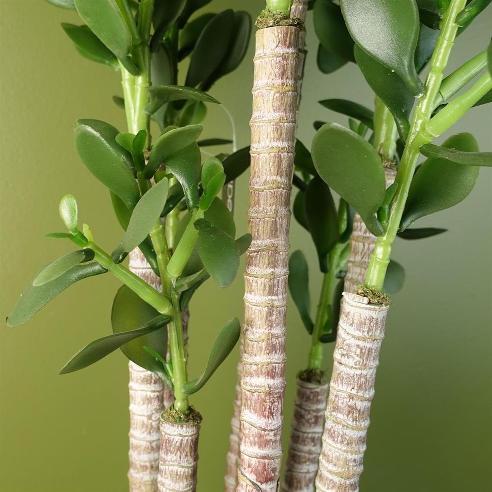 Artificial Jade Plant, 75cm