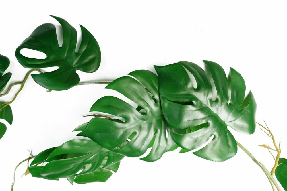 Artificial Trailing Monstera, 100cm