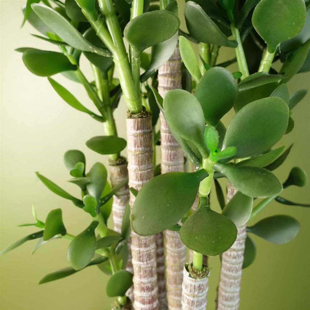 Artificial Jade Plant, 75cm