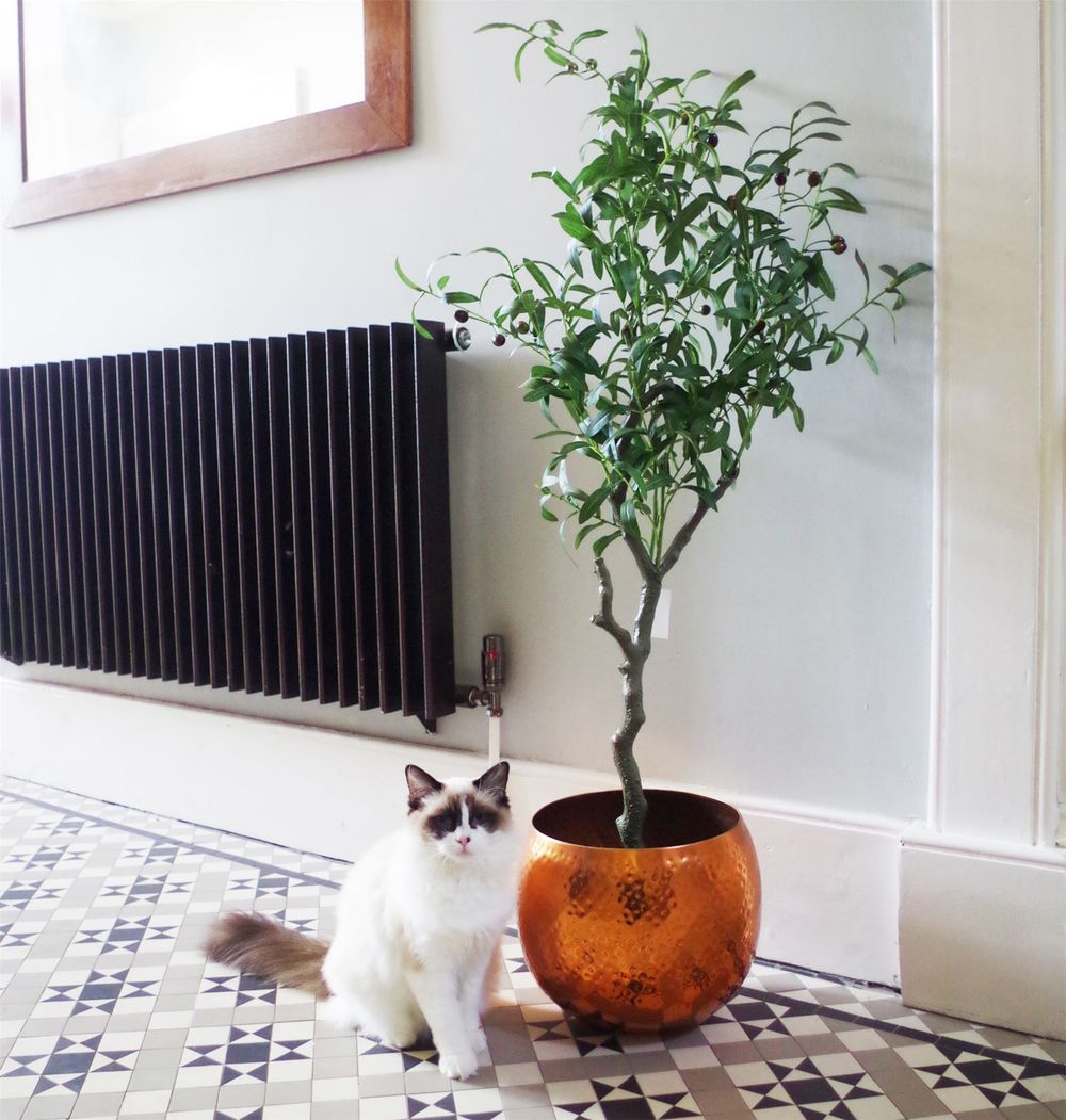 Artificial Olive Tree, 120cm