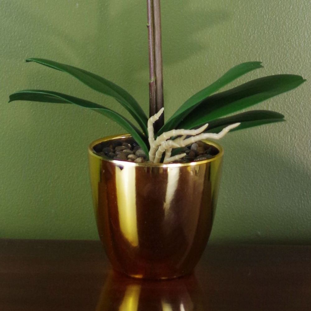 Artificial Harlequin Orchid, Pink and Gold Pot, 48cm