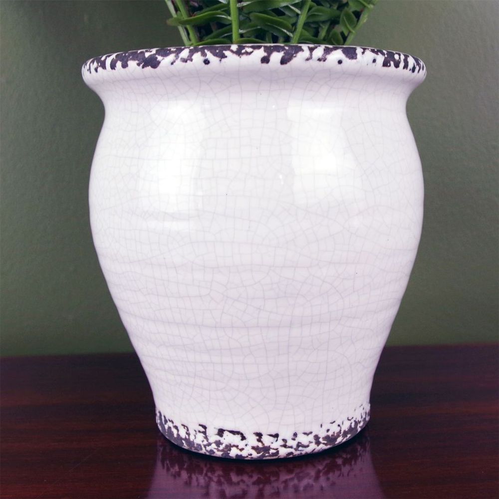 Artificial Bushy Fern in Ceramic Planter, 40cm